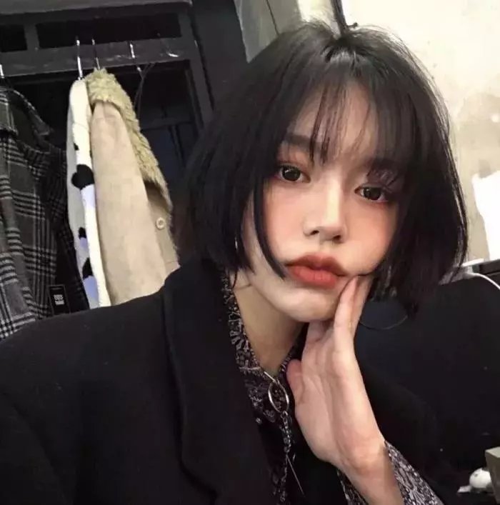 长毛狗