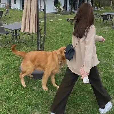 金三角之无法伤悲